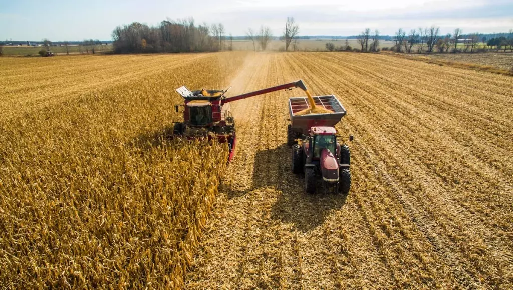 Exportações do agronegócio brasileiro atingem mais de US$ 15 bilhões em maio